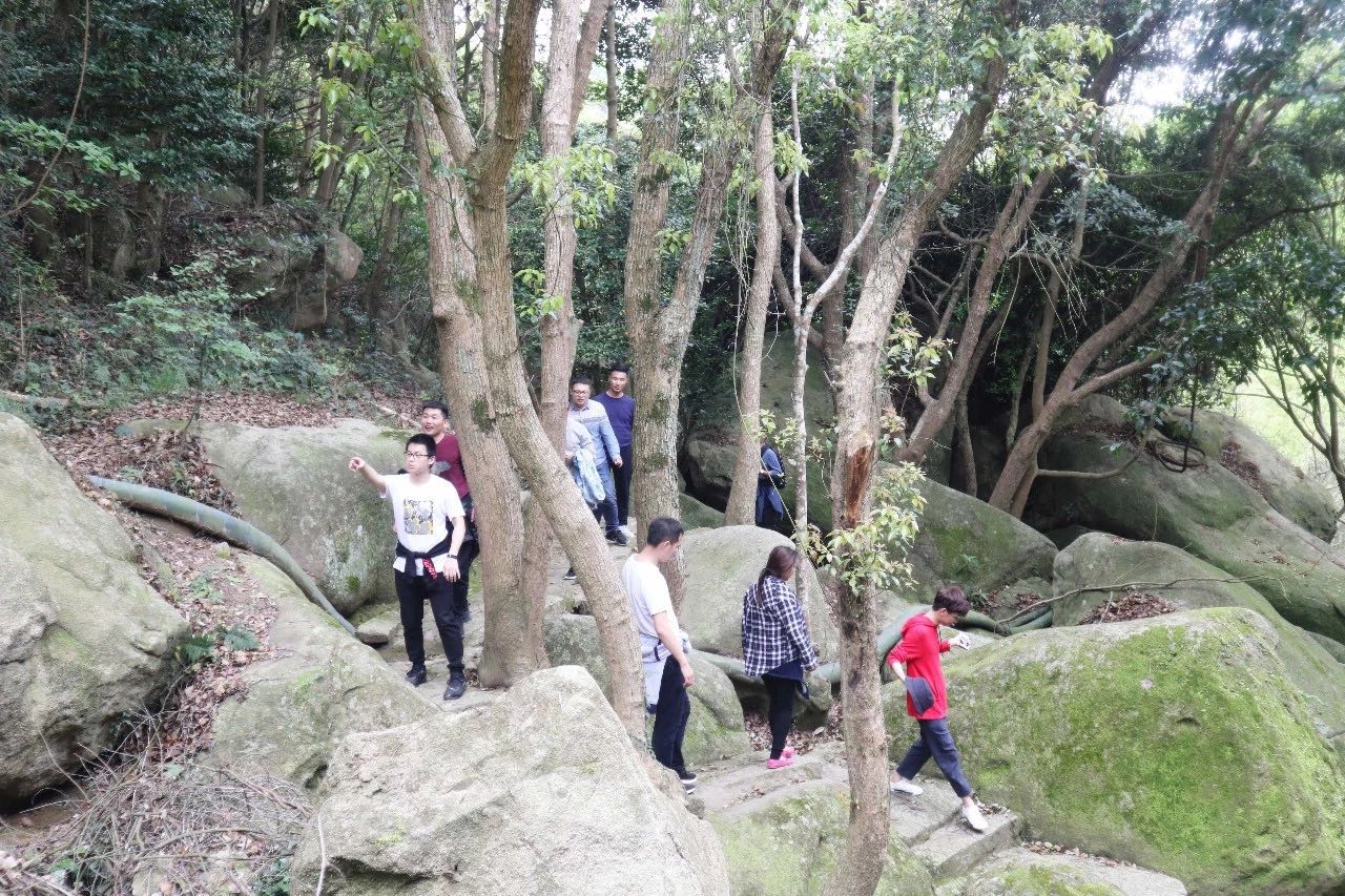  聚力啟航 筑夢(mèng)未來 | 寶開成功舉辦2019團(tuán)隊(duì)拓展旅游活動(dòng)